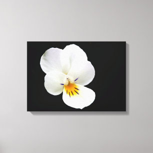 Wild Pansy Canvas Print Leinwanddruck