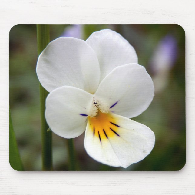 Wild Pansy Mouse Mat Mousepad (Vorne)