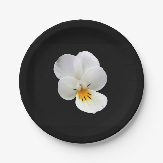 Wild Pansy Paper Plate Pappteller (Vorderseite)