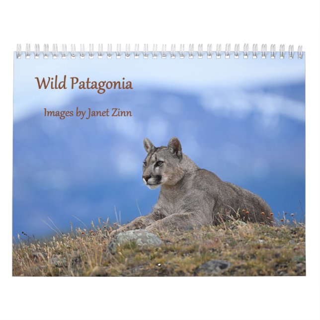 Wild Patagonia: Pumas and wildlife Kalender (Titelbild)