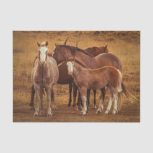 Wild Patagoniens Geistfotografie Seidenpapier