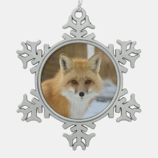 Wild Paws Alfalfa Schneeklocken-Ornament mit Rahme Schneeflocken Zinn-Ornament