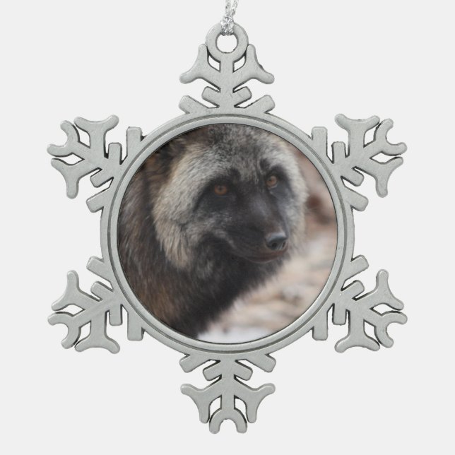 Wild Paws Midnight Snowflake Framed Ornament (Vorderseite)