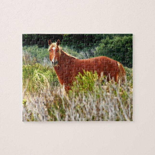 Wild Pferd Staredown (Horizontal)
