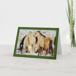 WILD PFERDE DER UTAH NATIVITY CHRISTMAS Card Karte