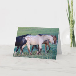 WILD PFERDE DER UTAH OURAY NOTECARD KARTE