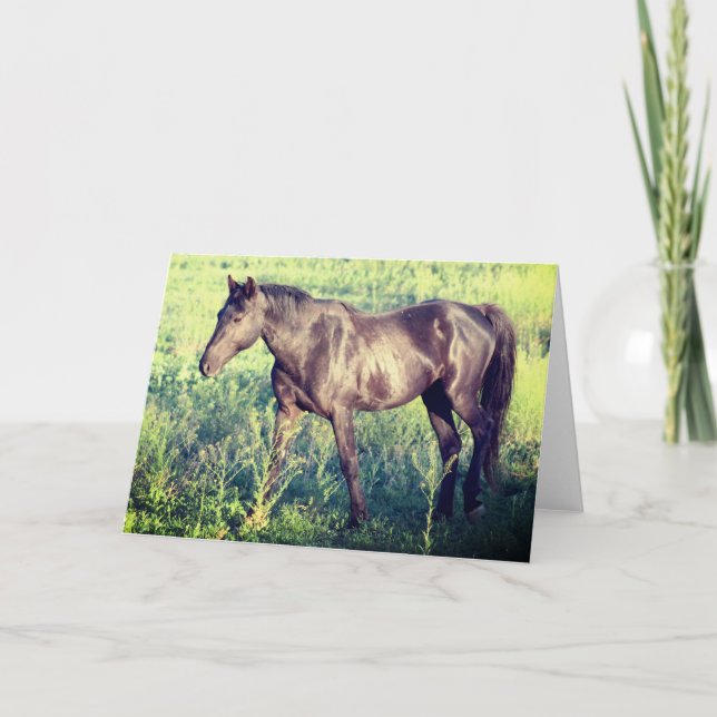 WILD PFERDE DER UTAH OURAY NOTECARD KARTE (Vorderseite)