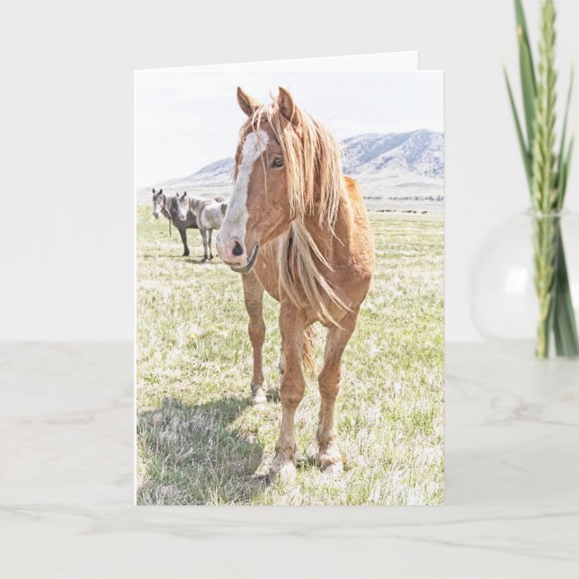 Wild Pferde Mustang Grußkarte (innen leer) Karte (Vorderseite)