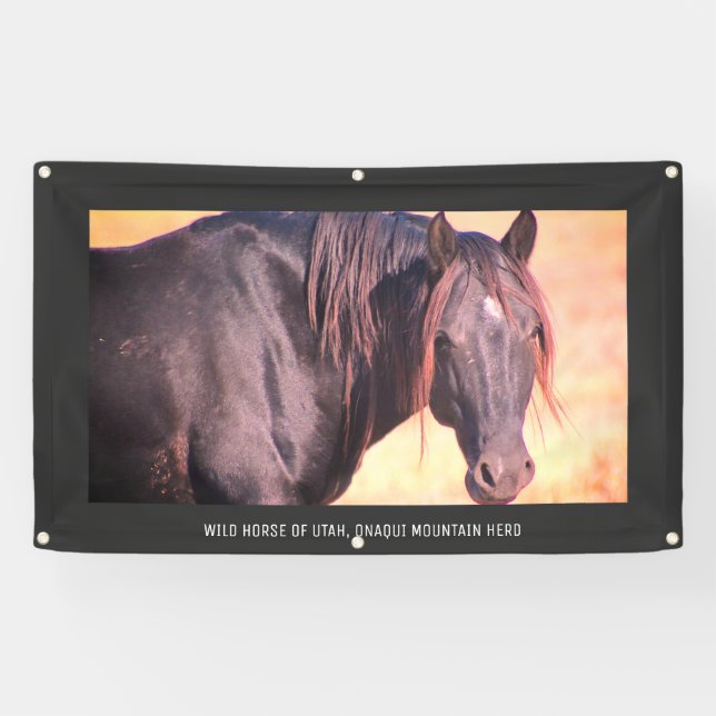 WILD PFERDE VON UTAH Banner MIT BAUMETEN (Horizontal)