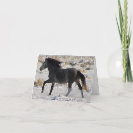 WILD PFERDE VON UTAH GRAY MUSTANG IN SNOW Card Karte
