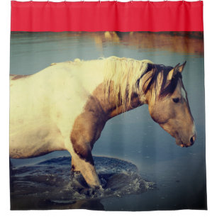 WILD PFERDE VON UTAH PINTO IN WASSER Duschvorhang