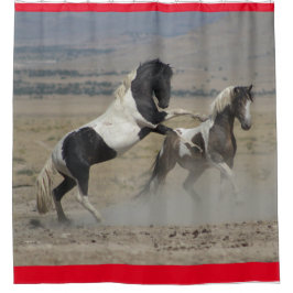 WILD PFERDE VON UTAH PINTO KAMPF SHOWER CURTAN DUSCHVORHANG