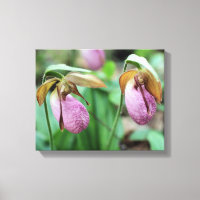 Wild Pink Lady Slipper Orchid Pair