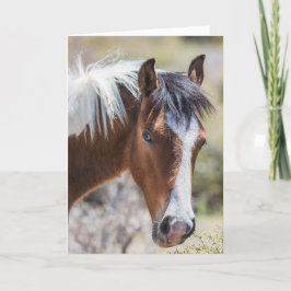 Wild Pinto Filly Karte