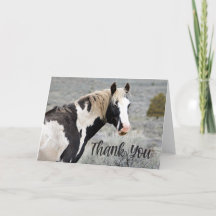 Wild Pinto Stallion Foto Dankeschön Card