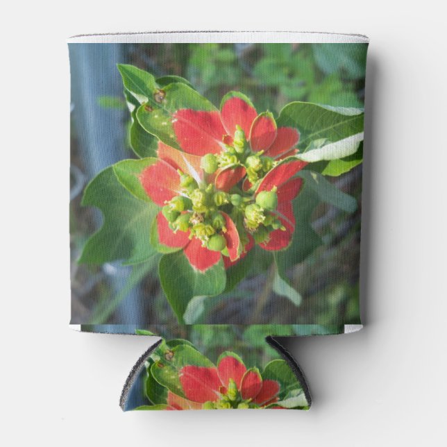 Wild Poinsettia Dosenkühler (Vorderseite)