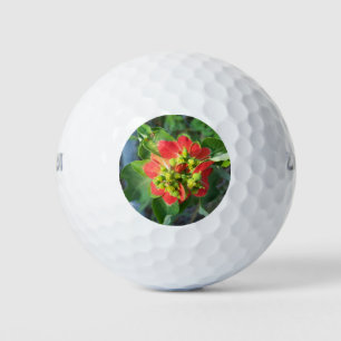 Wild Poinsettia Golfball