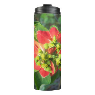 Wild Poinsettia Thermosbecher