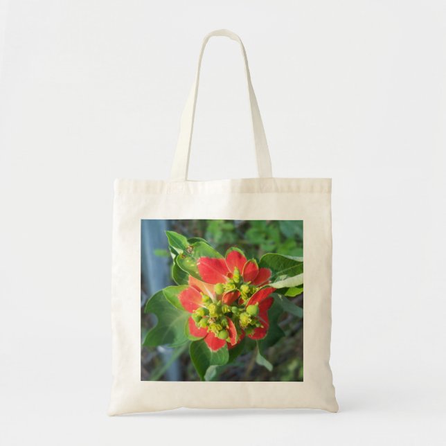 Wild Poinsettia Tragetasche (Vorne)
