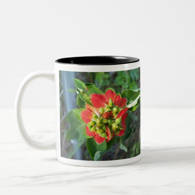 Wild Poinsettia Zweifarbige Tasse (Links)