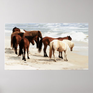 Wild Ponies Poster