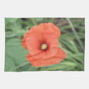 Wild Poppy Blume Küchentücher