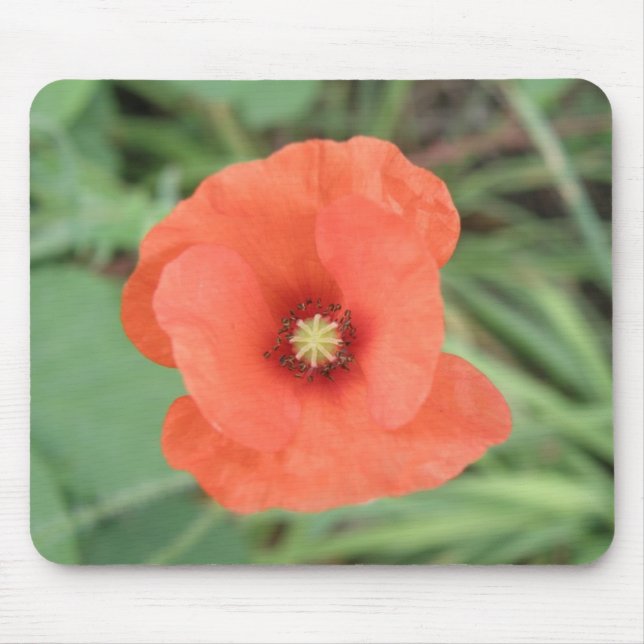 Wild Poppy Blume Mousepad (Vorne)