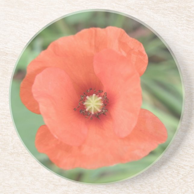 Wild Poppy Blume Untersetzer (Vorne)