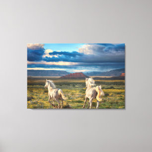 WILD PORSES "Live to Run" Canvas Print Leinwanddruck