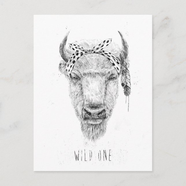 Wild Postkarte (Vorderseite)
