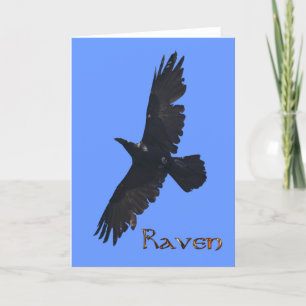 Wild Raven Wildlife Foto Geschenk Dankeskarte