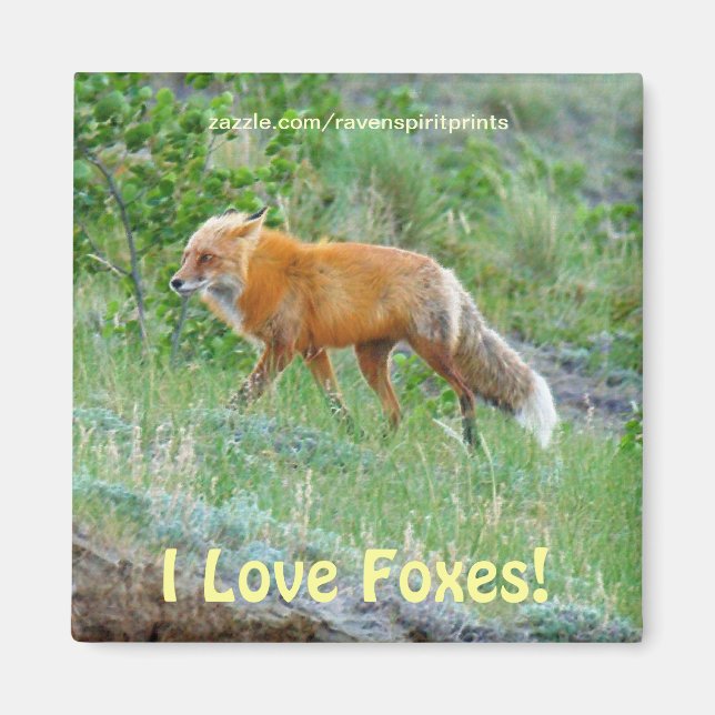 Wild Red Fox-lover Tierwelt Kunstvoll wandern im V Magnet (Vorne)