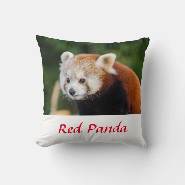 Wild Red Panda Nature Foto Kissen (Vorderseite)