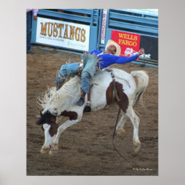 Wild Ride - Reno Rodeo 2010 Poster