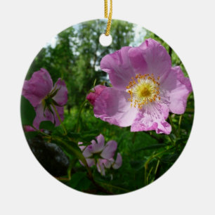 Wild rosa Rosen in Alaska Keramik Ornament