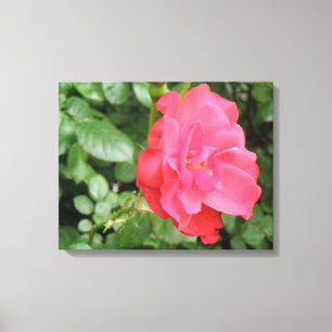 Wild Rose Canvas Print Leinwanddruck