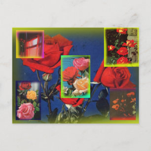 Wild Rose Collage Postcard Postkarte