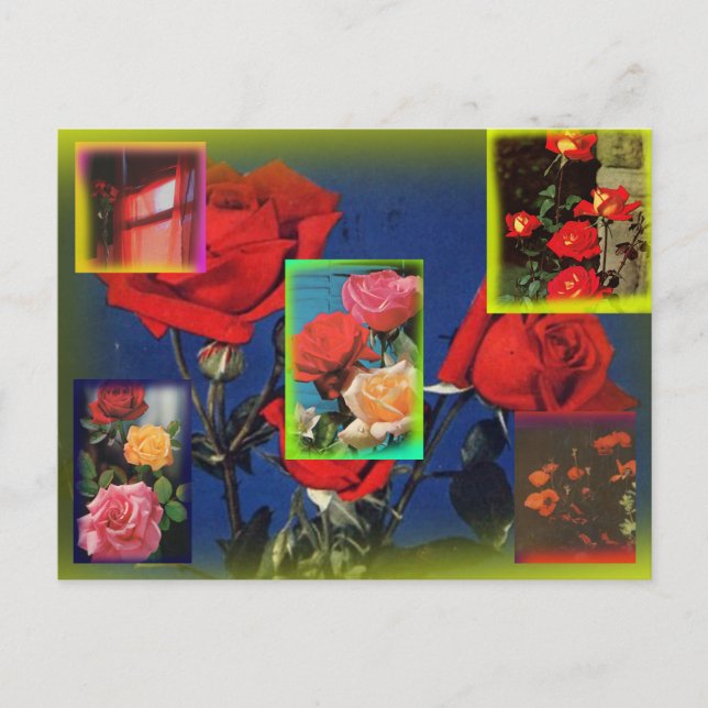 Wild Rose Collage Postcard Postkarte (Vorderseite)