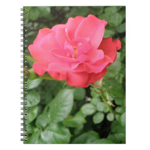 Wild Rose Notebook Notizblock