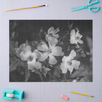 Wild roses  seidenpapier