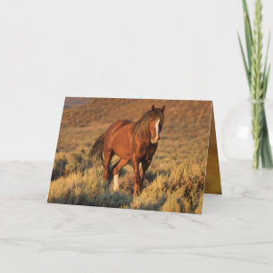 Wild Sorrel Stallion at Dawn Wild Horse Card Karte