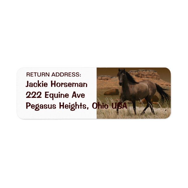 Wild SPANISH MUSTANG HORSE Rücksendeadressen-Aufkl (Vorne)