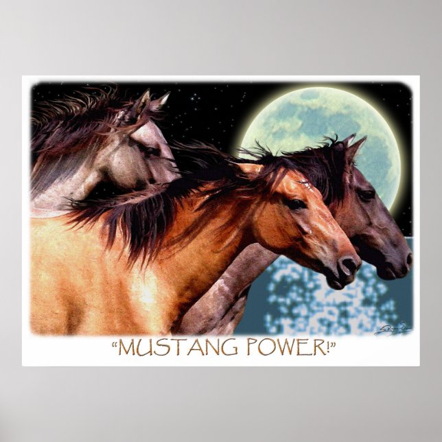 Wild Spanish Mustang Horses Fantasy Art Poster (Vorne)