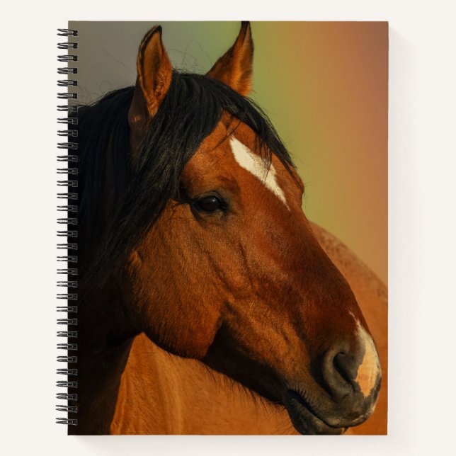 Wild Stallion, Golden Light and Rainbow Notizbuch (Vorderseite)