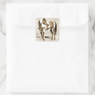 Wild Stallion Picasso Paint Horse Western Stickers