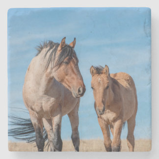 Wild Stallion und Wild Mustang Foal Steinuntersetzer