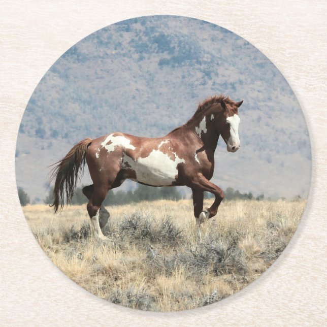 Wild-Stallion-Untersetzer Runder Pappuntersetzer (Vorderseite)