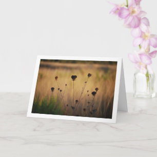 Wild sterbende Blume in der Landschaft der Feldwel Karte