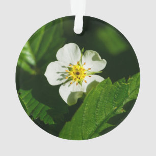 Wild Strawberry Blume Ornament
