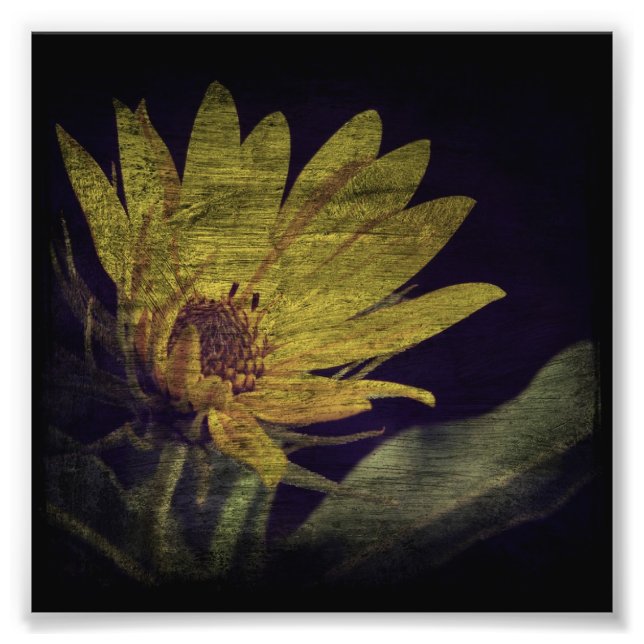 Wild Sunflower Fotodruck (Vorne)